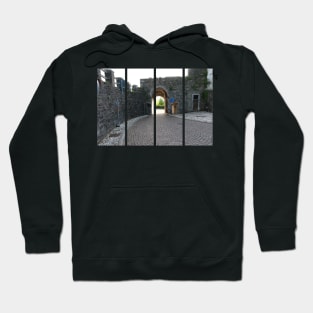 Gorizia, Italy. The castle. It stands between the walls of the ancient village, what medieval sources cite as Upper Land. Friuli Venezia Giulia. Sunny spring afternoon day. Hoodie